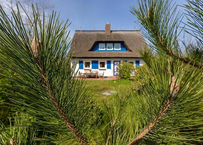 Seeraeuber * ארנסהופ